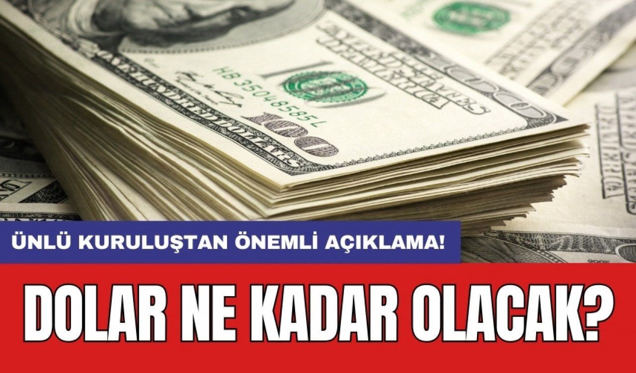 Ünlü kuruluştan önemli açıklama! Dolar ne kadar olacak?