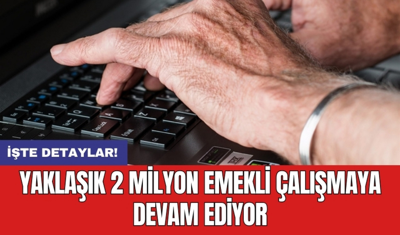 Yaklaşık 2 milyon emekli çalışmaya devam ediyor