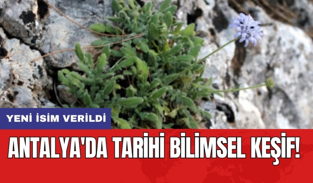 Antalya'da tarihi bilimsel keşif!