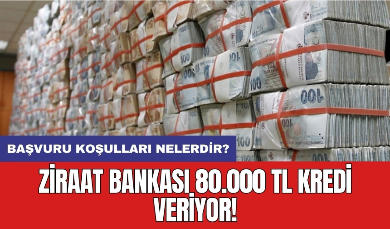 Ziraat Bankası 80.000 TL kredi veriyor! Başvuru koşulları nelerdir?