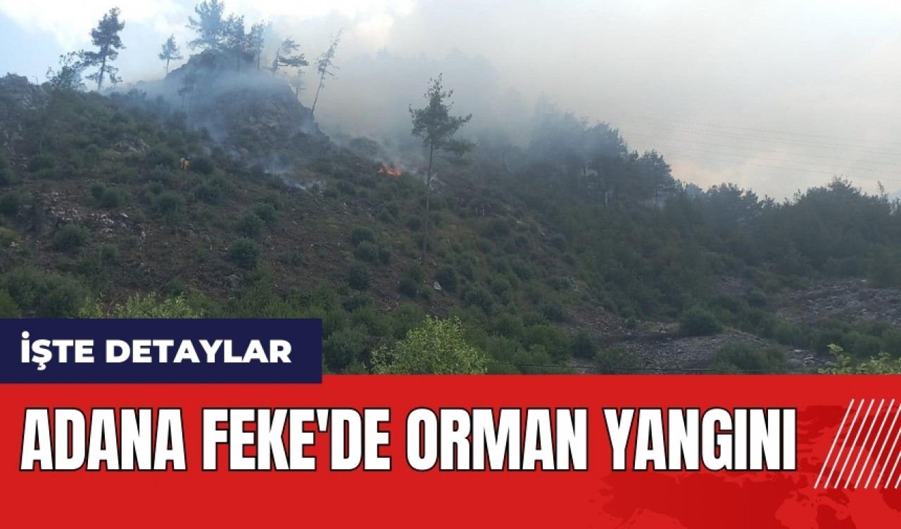 Adana Feke'de orman yangını