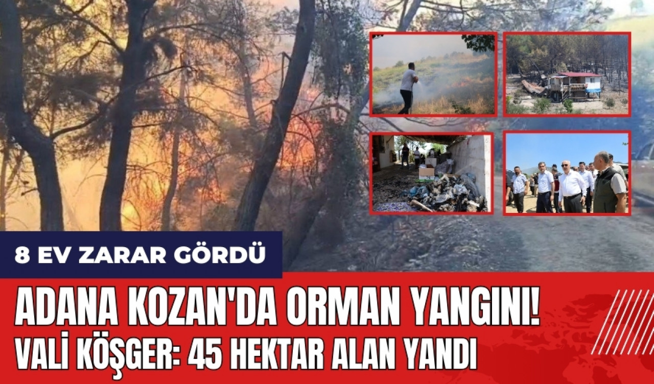 Adana Kozan'da orman yangını: 45 hektar alan yandı