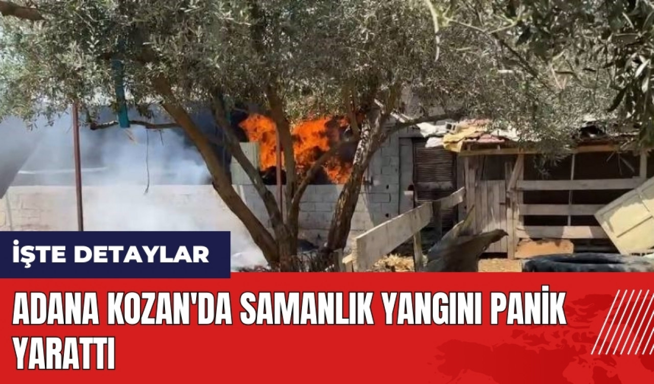 Adana Kozan'da samanlık yangını panik yarattı