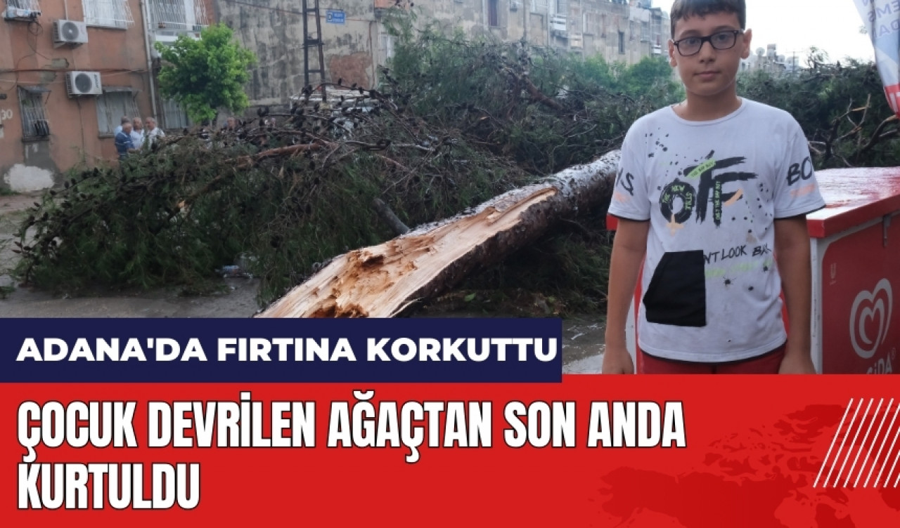 Adana'da fırtına korkuttu: Çocuk devrilen ağaçtan son anda kurtuldu