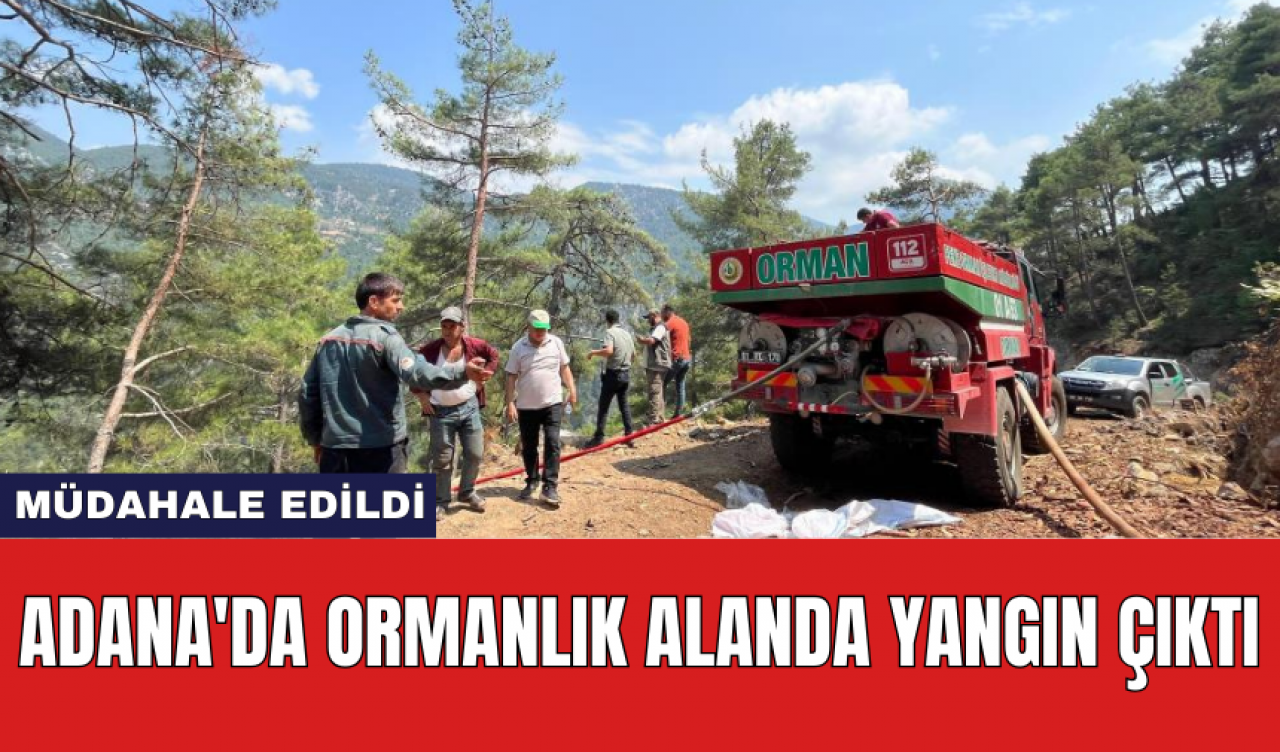 Adana'da ormanlık alanda yangın çıktı