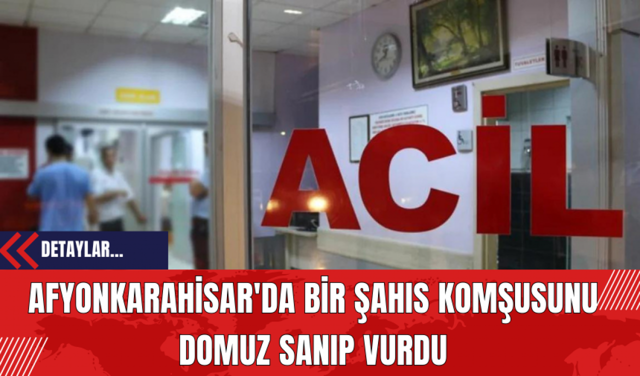 Afyonkarahisar'da Bir Şahıs Komşusunu Domuz Sanıp Vurdu