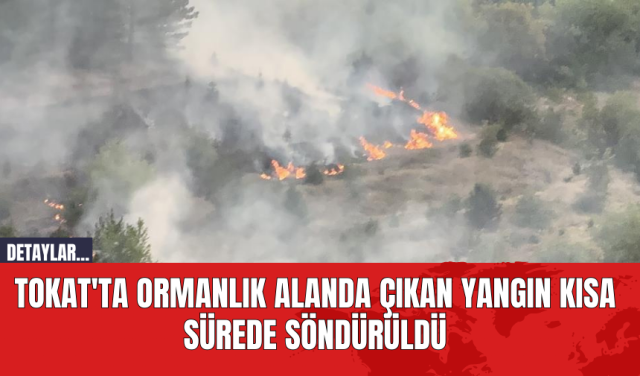 Tokat'ta Ormanlık Alanda Çıkan Yangın Kısa Sürede Söndürüldü