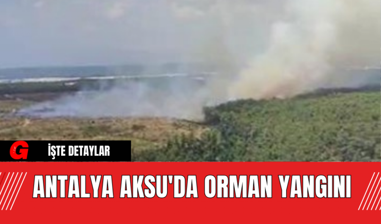 Antalya Aksu'da Orman Yangını