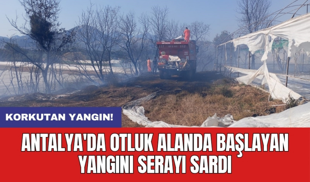 Antalya'da otluk alanda başlayan yangını serayı sardı