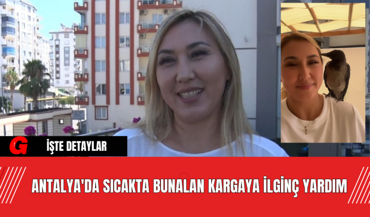 Antalya'da Sıcakta Bunalan Kargaya İlginç Yardım