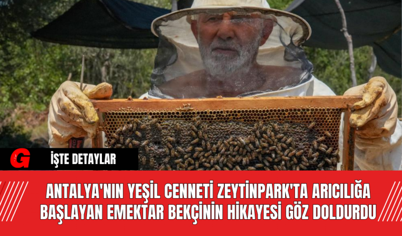 Antalya'nın Yeşil Cenneti Zeytinpark'ta Arıcılığa Başlayan Emektar Bekçinin Hikayesi Göz Doldurdu