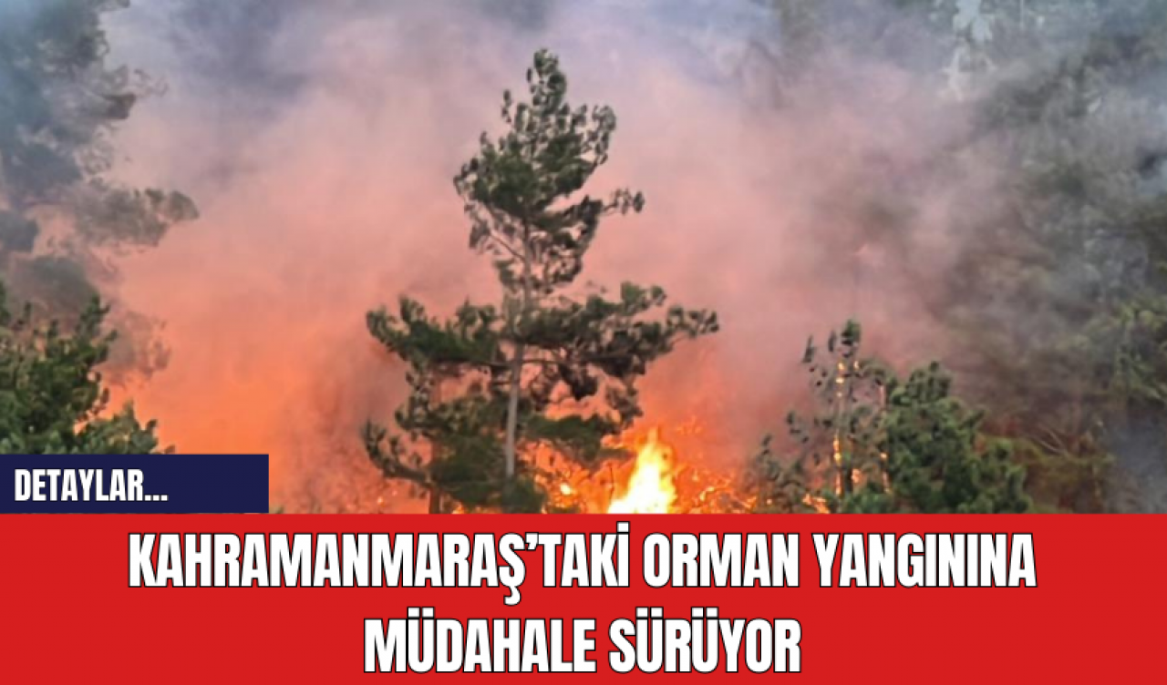 Kahramanmaraş’taki orman yangınına müdahale sürüyor