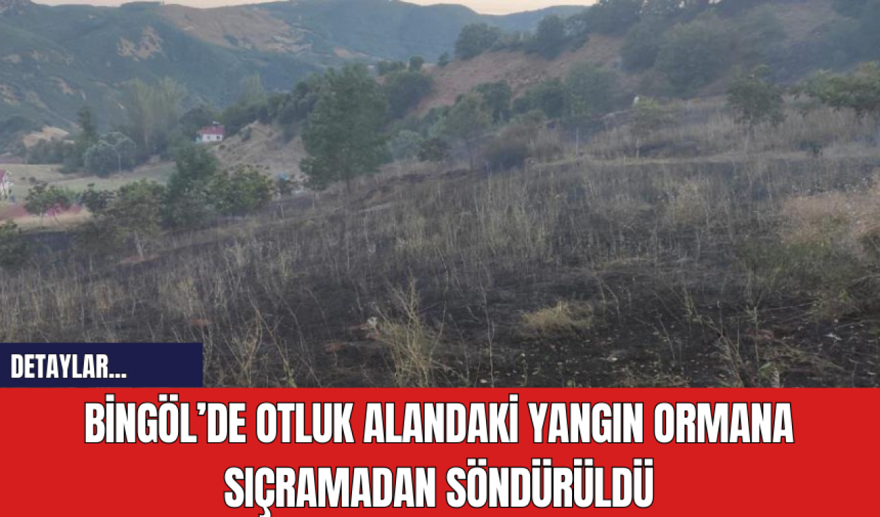 Bingöl’de otluk alandaki yangın ormana sıçramadan söndürüldü