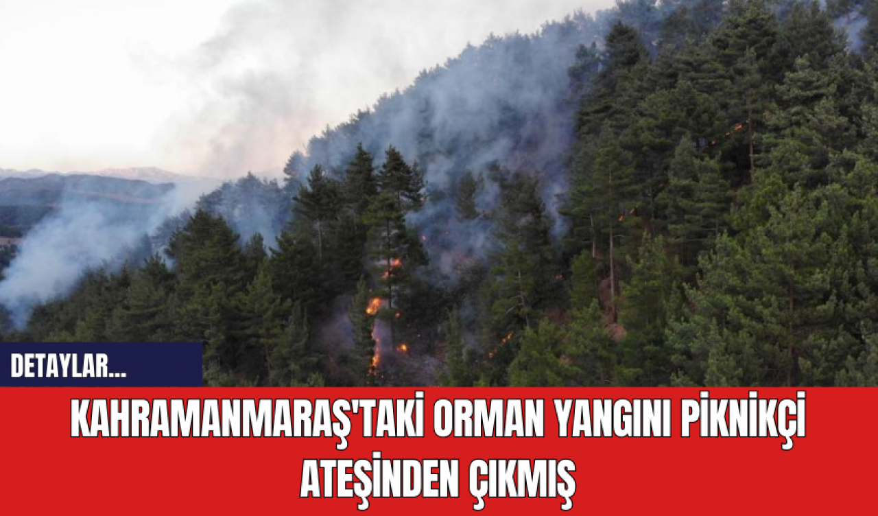 Kahramanmaraş'taki orman yangını piknikçi ateşinden çıkmış