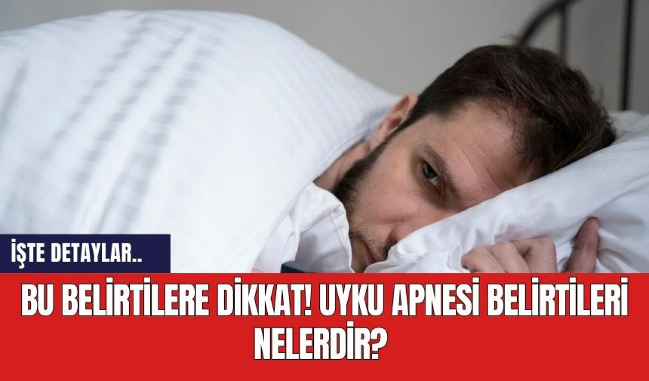 Pektus Canlı Cerrahisi Toplantısı'nda Büyük Başarı