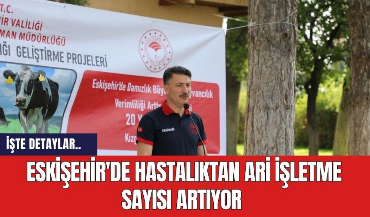 Eskişehir'de Hastalıktan Ari İşletme Sayısı Artıyor