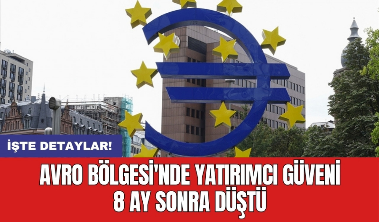 Avro Bölgesi'nde yatırımcı güveni 8 ay sonra düştü