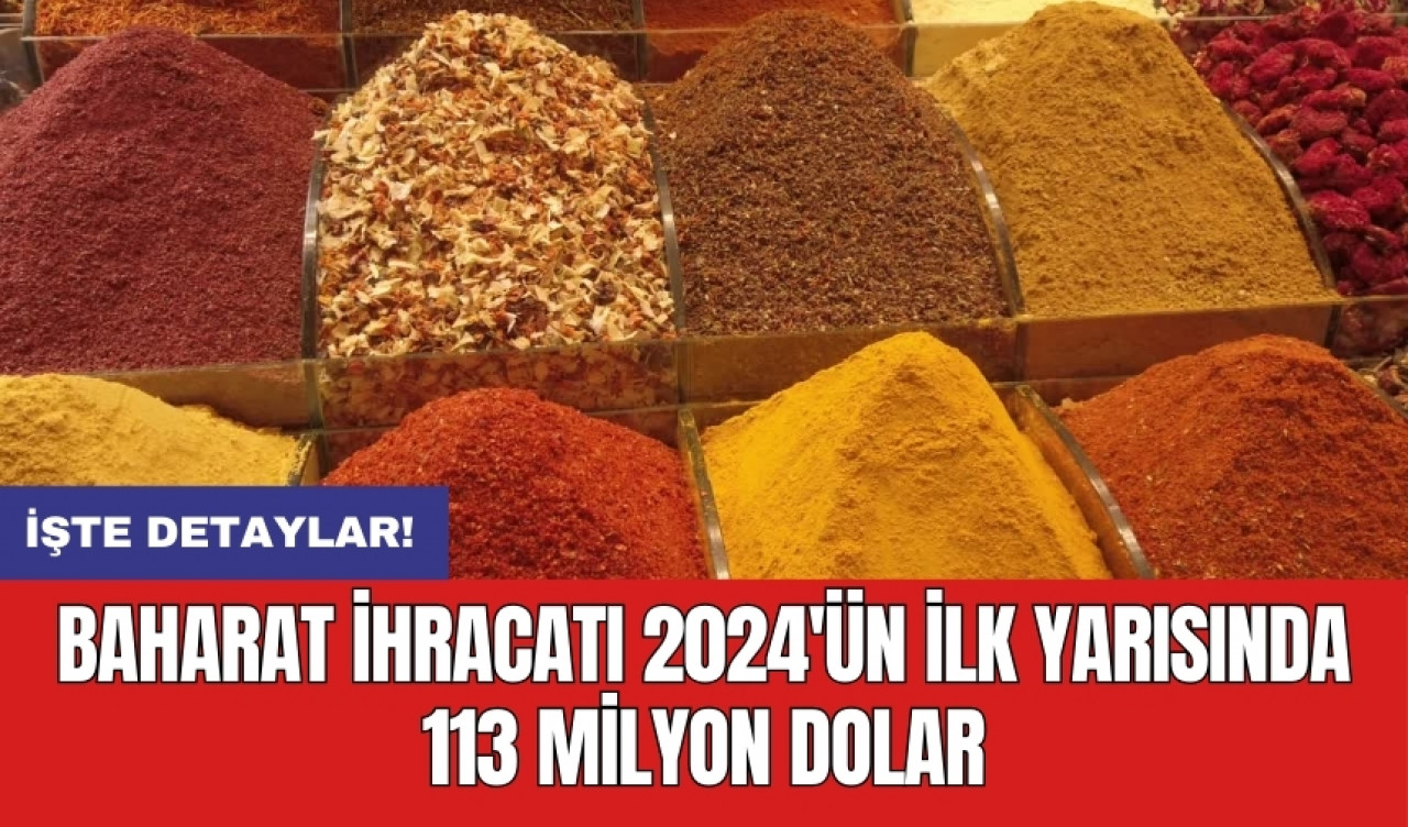 Baharat ihracatı 2024'ün ilk yarısında 113 milyon dolar