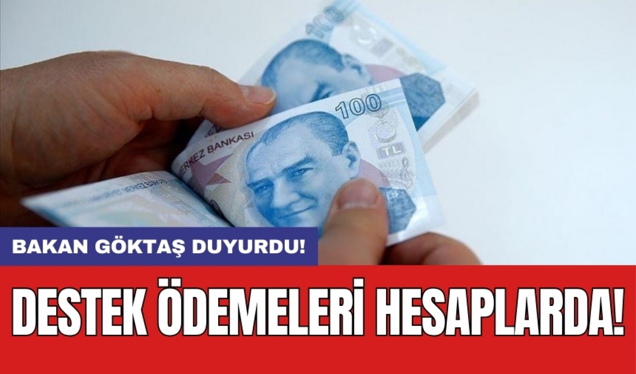 Bakan Göktaş duyurdu: Destek ödemeleri hesaplarda!