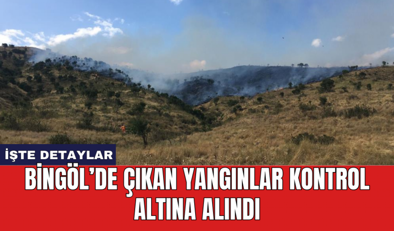 Bingöl’de çıkan yangınlar kontrol altına alındı