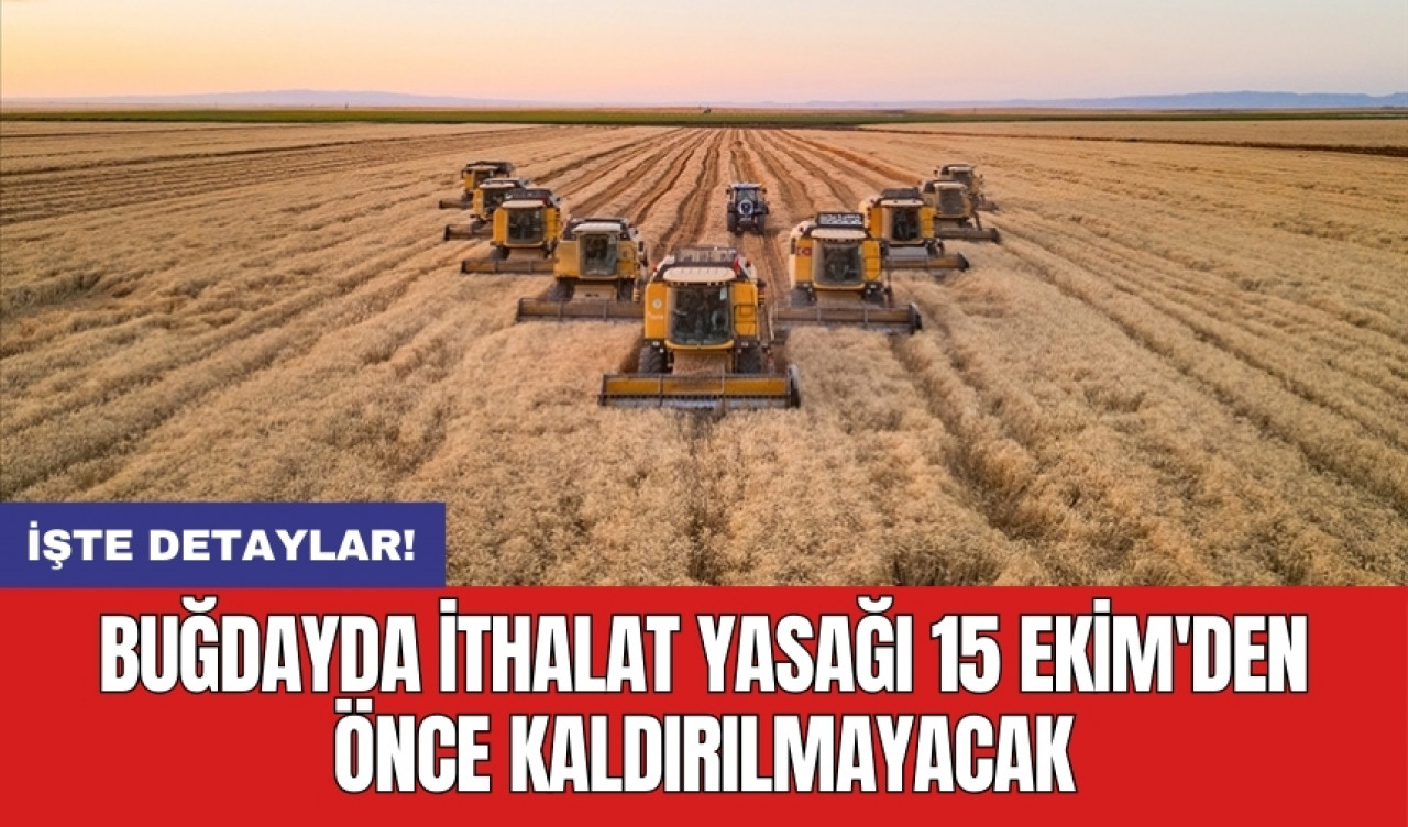 Buğdayda ithalat yasağı 15 Ekim'den önce kaldırılmayacak