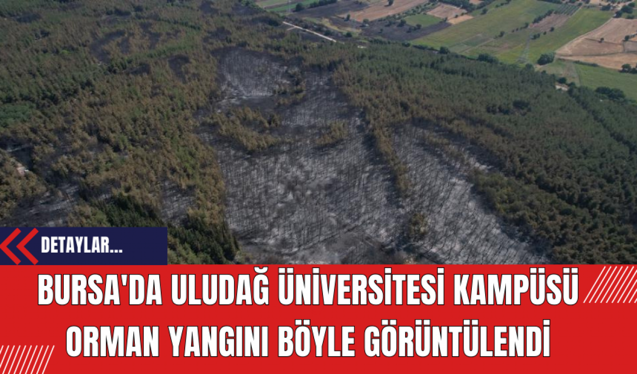 Bursa'da Uludağ Üniversitesi Kampüsü Orman Yangını Böyle Görüntülendi