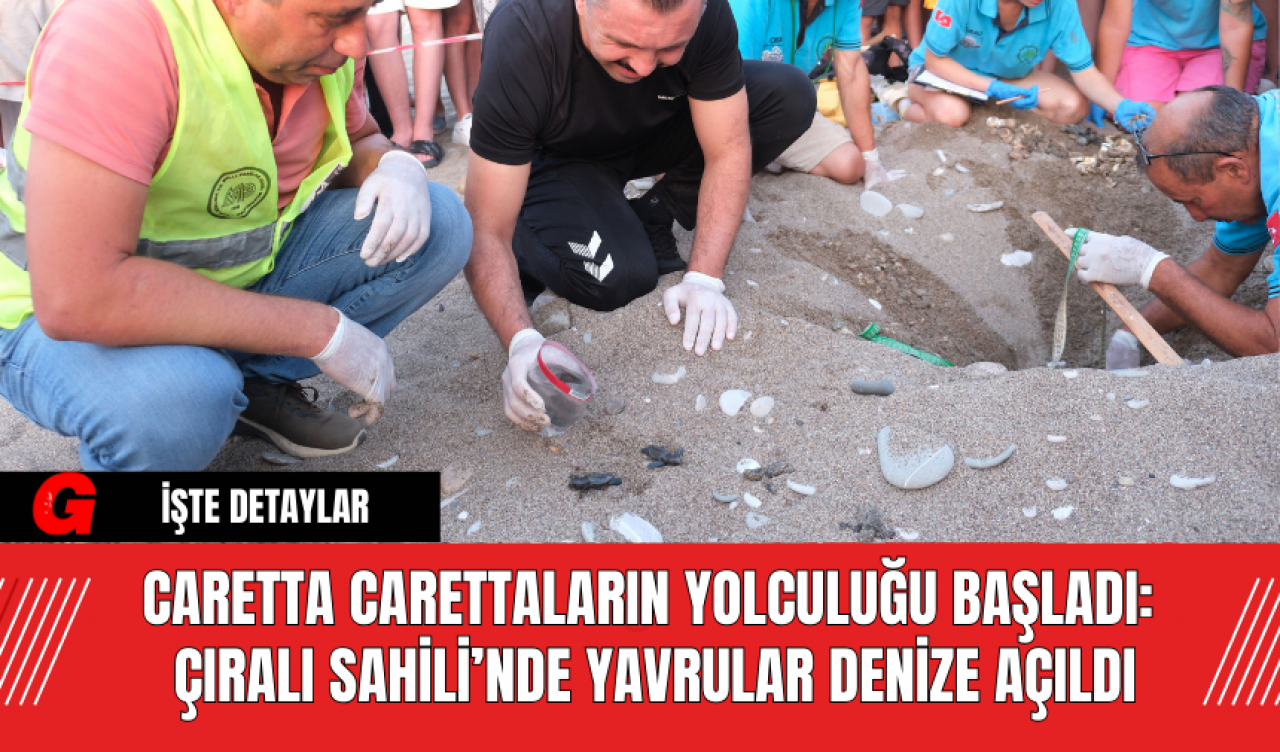 Caretta Carettaların Yolculuğu Başladı: Çıralı Sahili’nde Yavrular Denize Açıldı