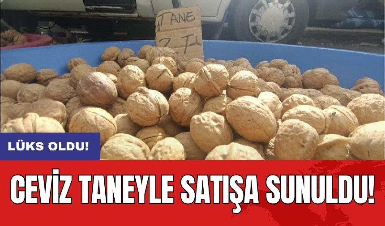 Ceviz taneyle satışa sunuldu!