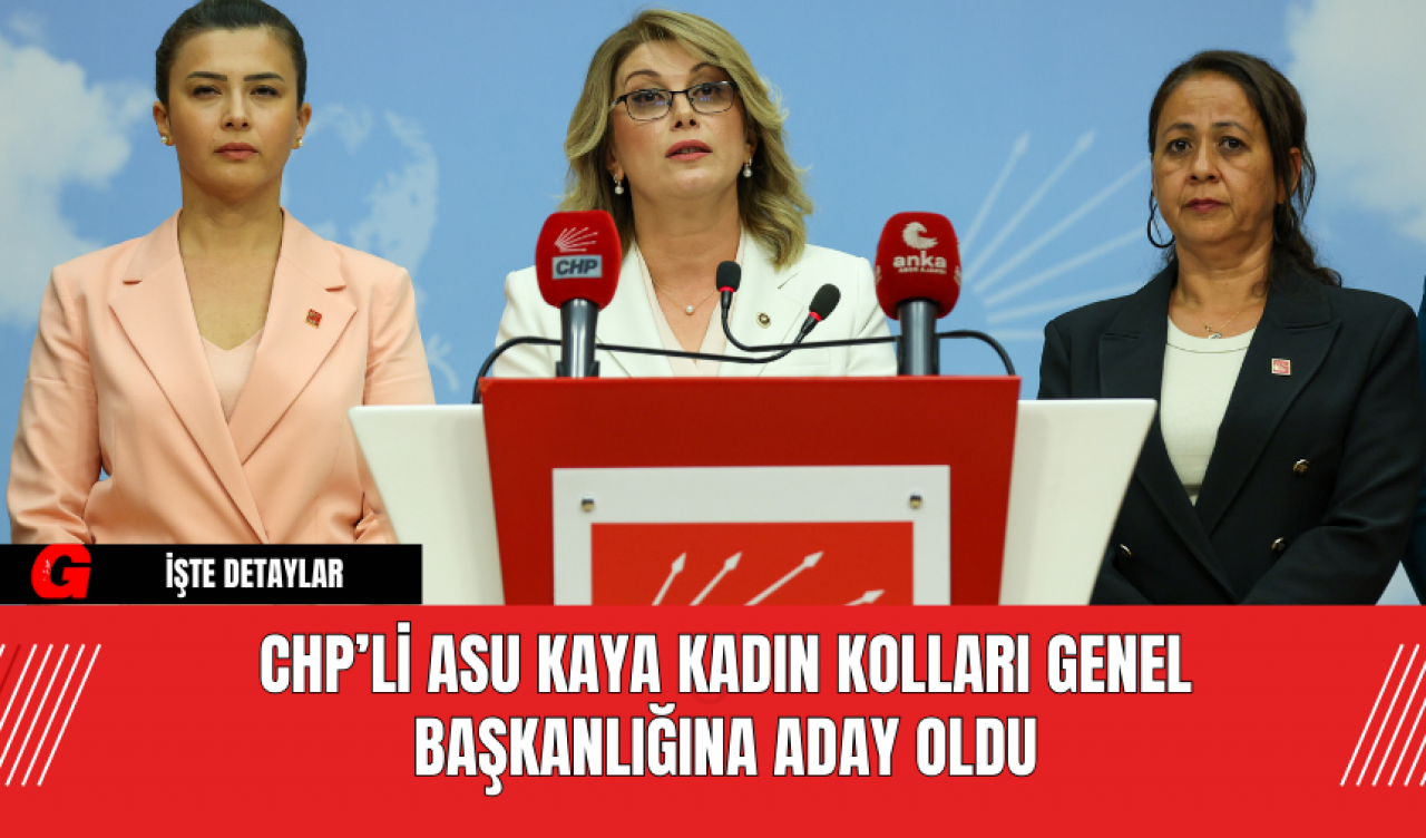 CHP’li Asu Kaya Kadın Kolları Genel Başkanlığı'na Aday Oldu