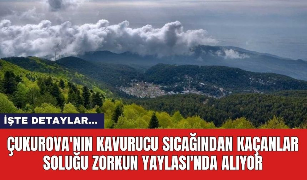 Çukurova'nın kavurucu sıcağından kaçanlar soluğu Zorkun Yaylası'nda alıyor