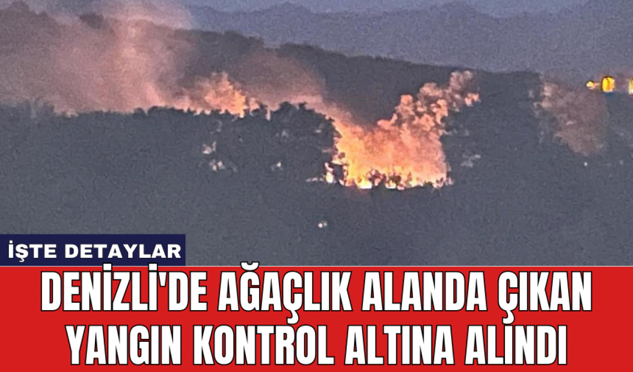 Denizli'de ağaçlık alanda çıkan yangın kontrol altına alındı