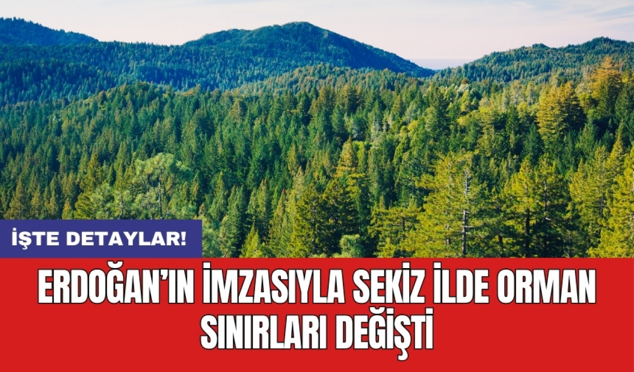 Erdoğan’ın imzasıyla sekiz ilde orman sınırları değişti