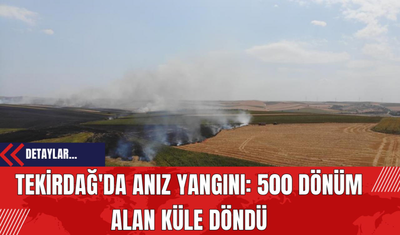 Tekirdağ'da Anız Yangını: 500 Dönüm Alan Küle Döndü