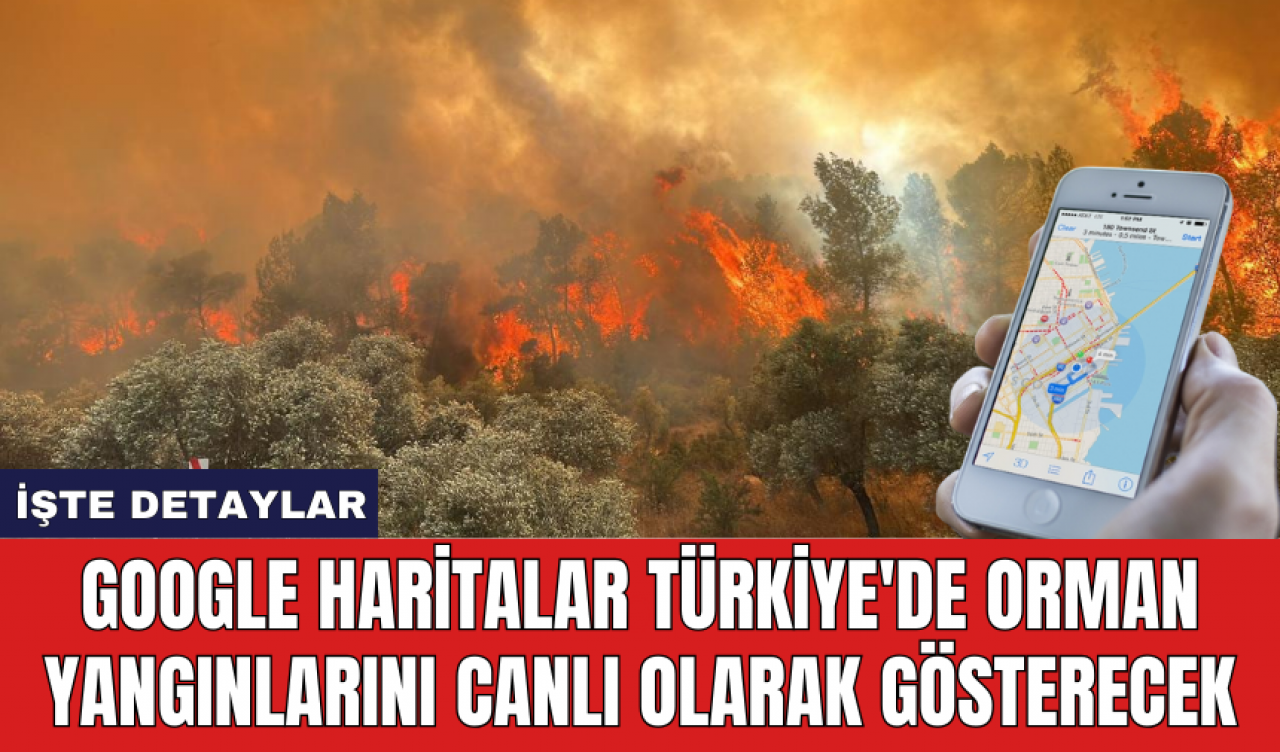 Google Haritalar Türkiye'de orman yangınlarını canlı olarak gösterecek