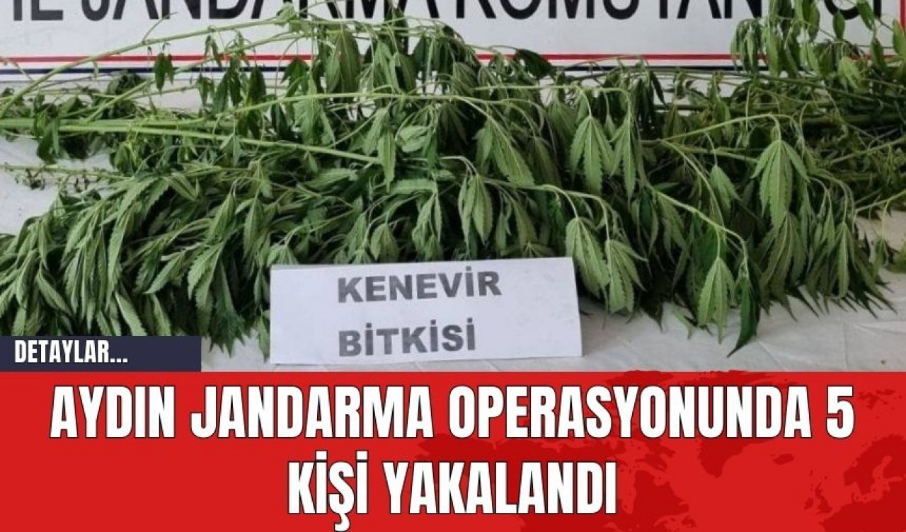 Aydın Jandarma Operasyonunda 5 Kişi Yakalandı