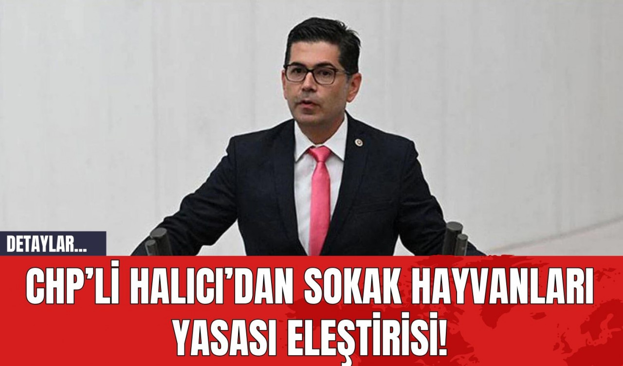 CHP’li Halıcı’dan Sokak Hayvanları Yasası Eleştirisi!