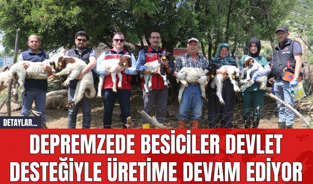 Depremzede besiciler devlet desteğiyle üretime devam ediyor