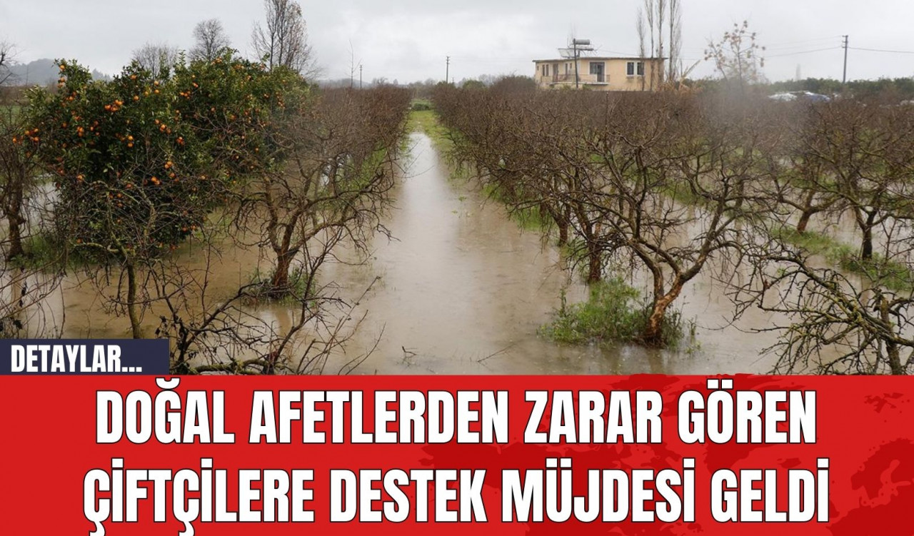 Doğal Afetlerden Zarar Gören Çiftçilere Destek Müjdesi Geldi