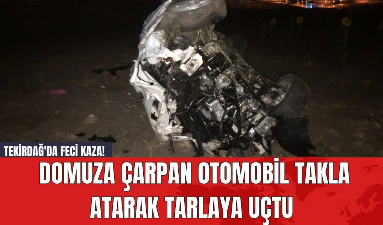 Tekirdağ'da Feci Kaza! Domuza Çarpan Otomobil Takla Atarak Tarlaya Uçtu