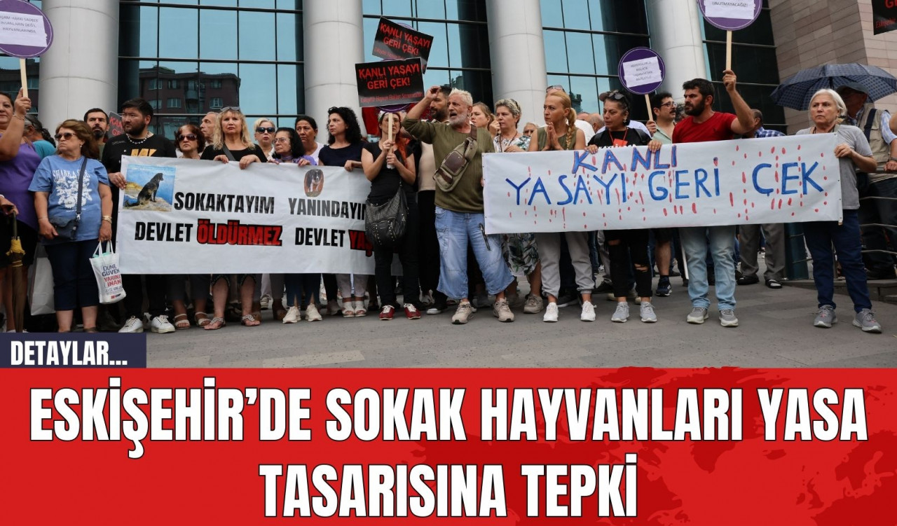 Eskişehir’de Sokak Hayvanları Yasa Tasarısına Tepki