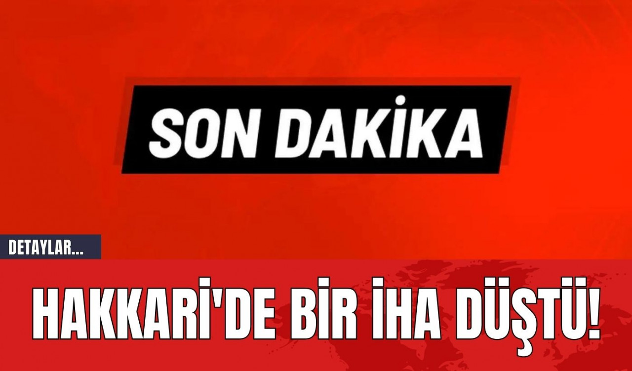 Hakkari'de Bir İHA Düştü!