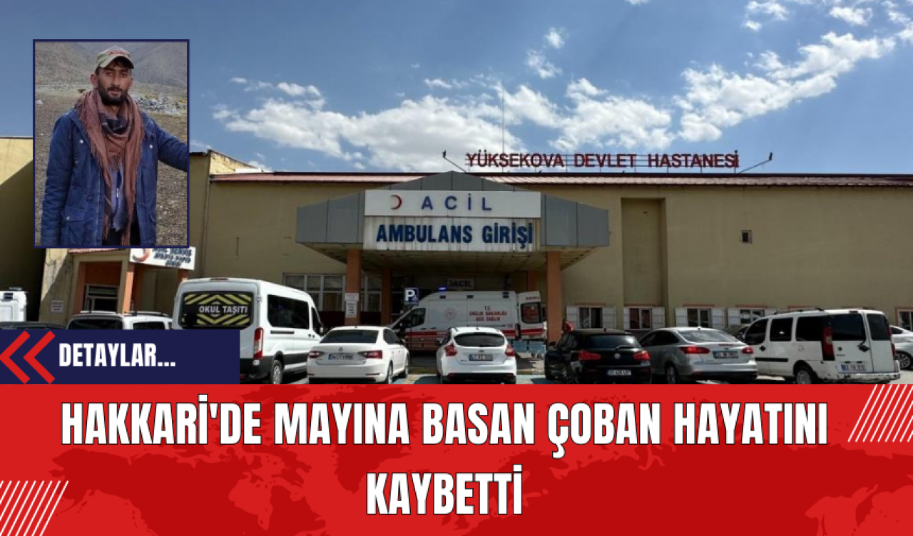 Hakkari'de Mayına Basan Çoban Hayatını Kaybetti