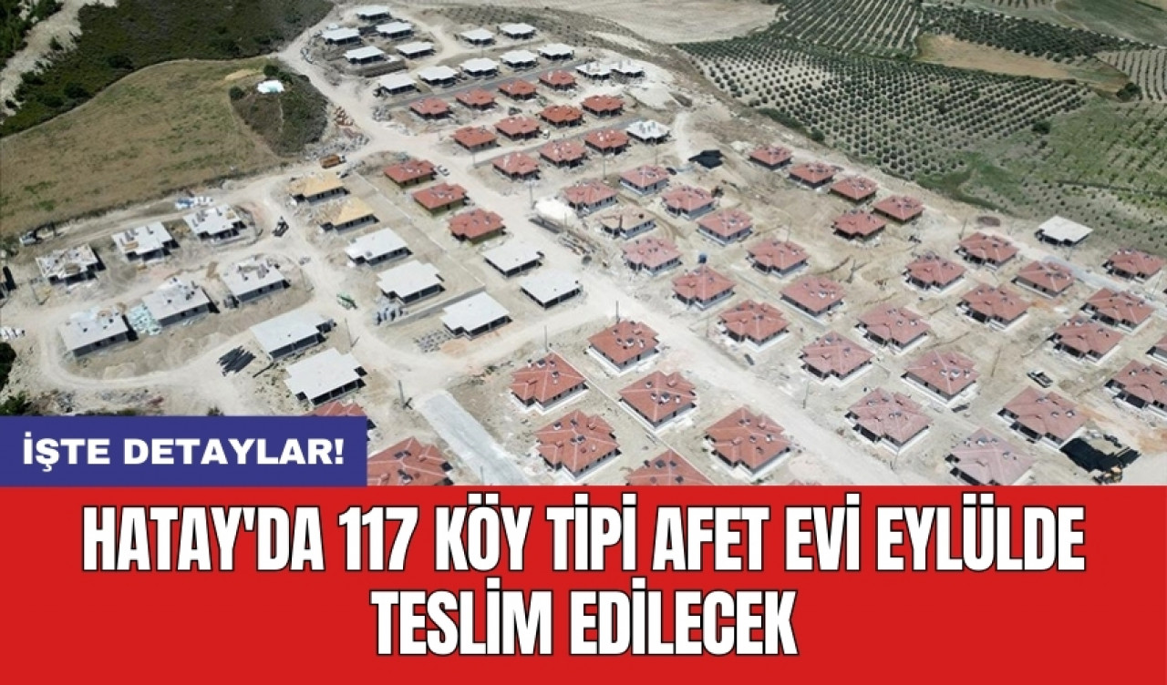 Hatay'da 117 köy tipi afet evi eylülde teslim edilecek