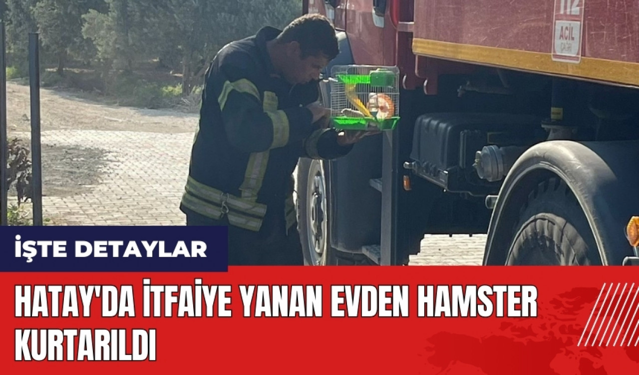 Hatay'da itfaiye yanan evden hamster kurtarıldı