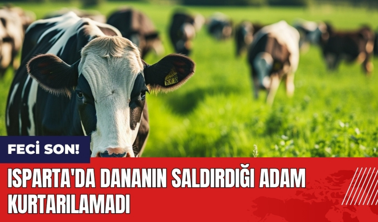 Isparta'da dananın saldırdığı adam kurtarılamadı