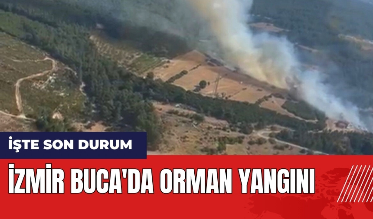 İzmir Buca'da orman yangını