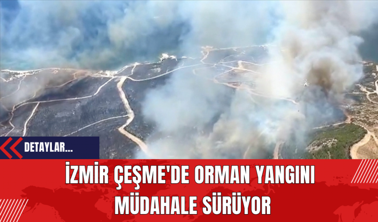 İzmir Çeşme'de Orman Yangını: Müdahale Sürüyor: 3 Ölü