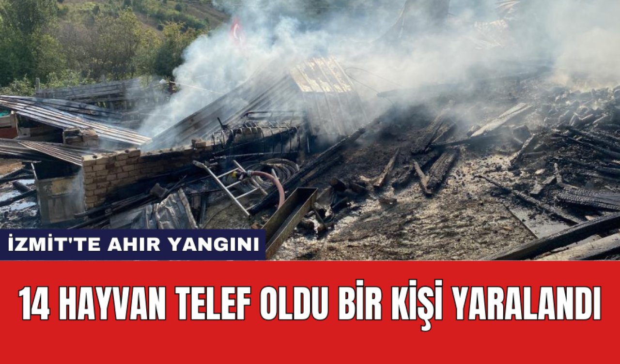 İzmit'te ahır yangını: 14 hayvan telef oldu bir kişi yaralandı