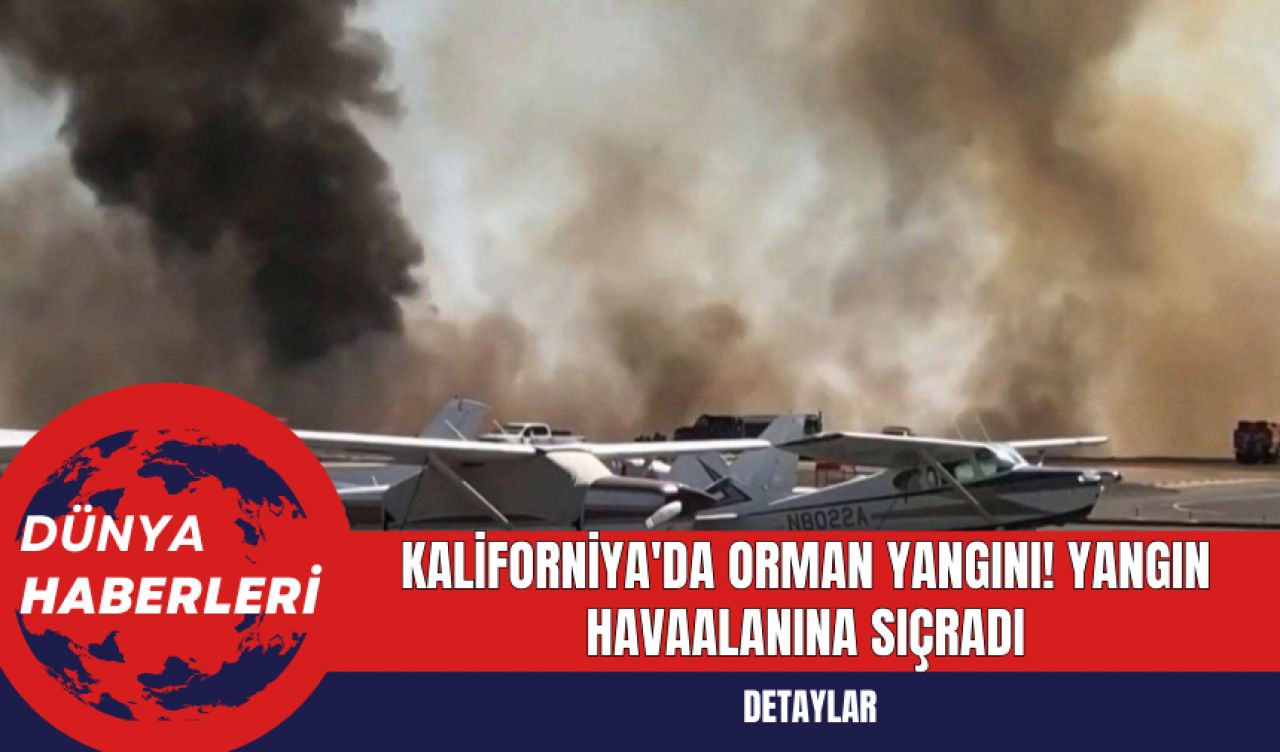 Kaliforniya'da Orman Yangını: El Dorado Bölgesi'nde İtfaiyeciler Mücadele Ediyor