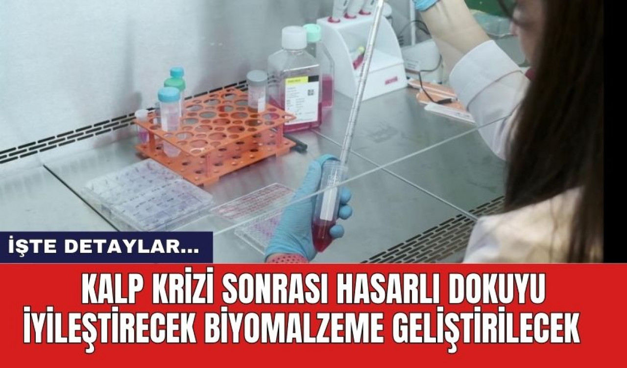 Kalp krizi sonrası hasarlı dokuyu iyileştirecek biyomalzeme geliştirilecek